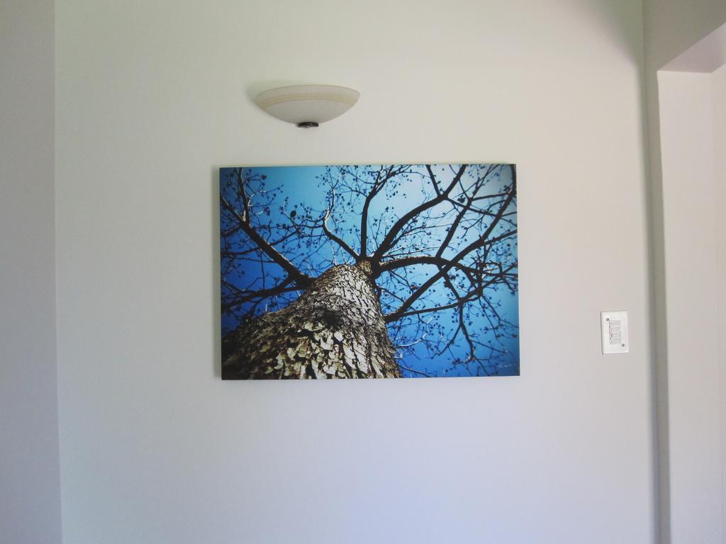 The Pecan Tree Guesthouse Sandton Eksteriør bilde