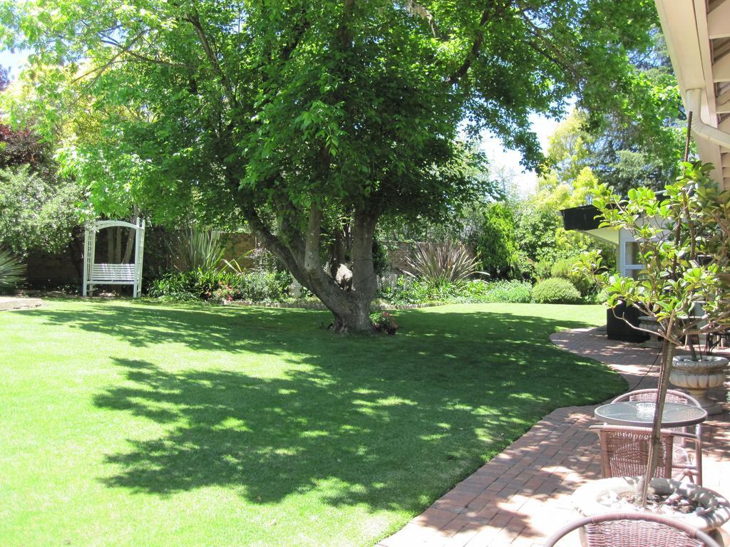 The Pecan Tree Guesthouse Sandton Rom bilde